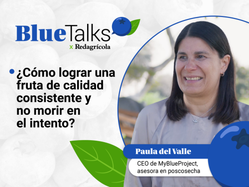 ¿CÓMO OBTENER UNA FRUTA CONSISTENTE Y NO MORIR EN EL INTENTO?