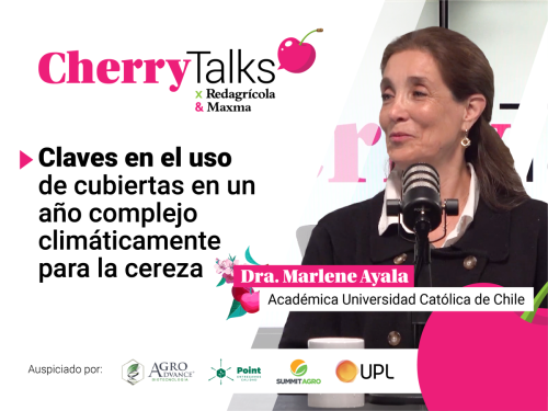 Claves en el uso de cubiertas en un año complejo climáticamente para la cereza