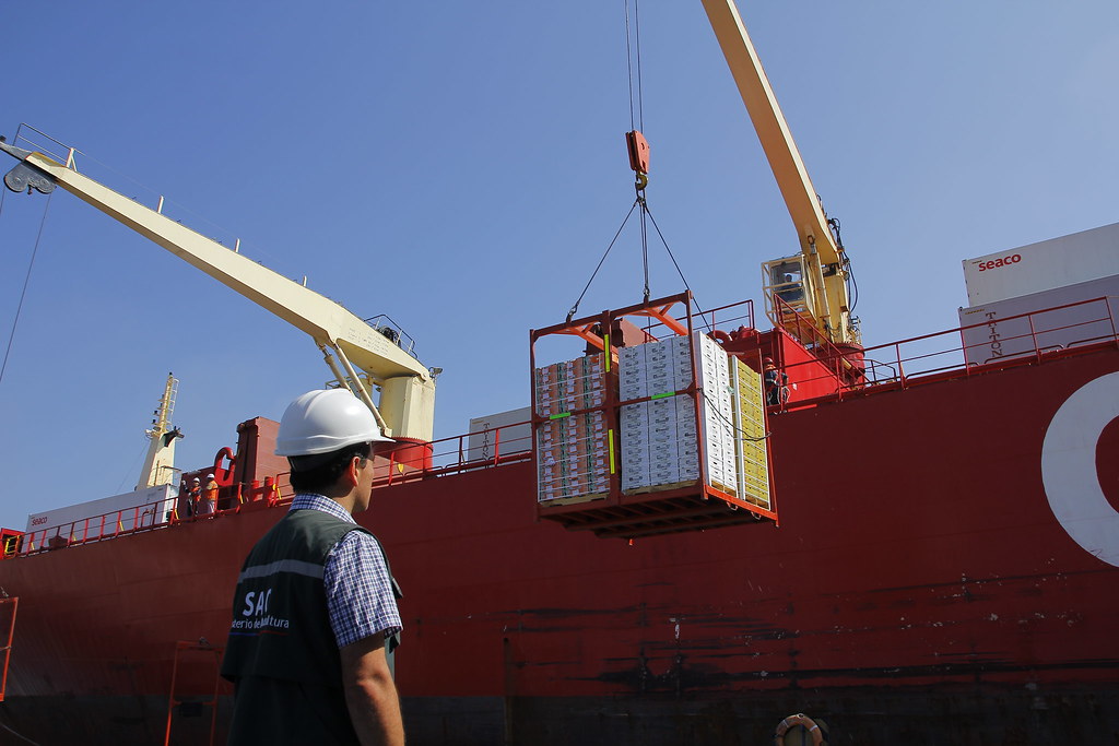 Entró en vigor Memorándum de Entendimiento entre Chile y China para facilitar las exportaciones de fruta fresca
