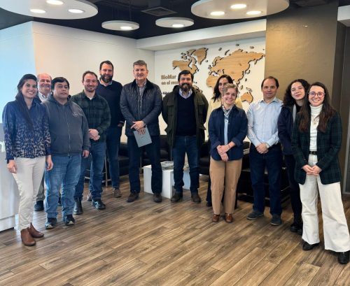 Agricultura regenerativa busca fortalecer la sostenibilidad de la cadena salmonera chilena