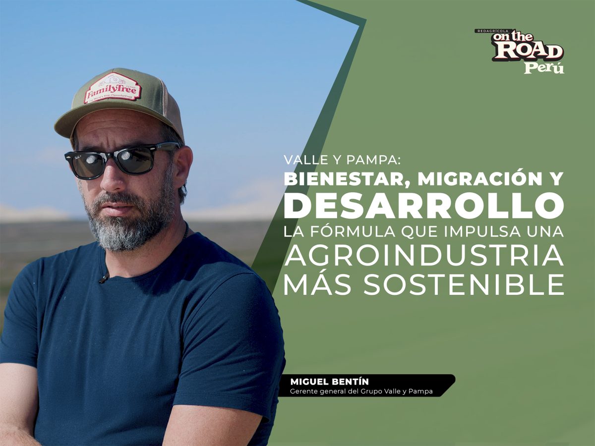 Valle y Pampa: bienestar, migración y desarrollo, la fórmula que impulsa una agroindustria más sostenible
