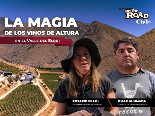 La magia de los viñedos de altura en el Valle del Elqui