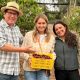 Nuevo hito para Coquimbo: primera cosecha de cerezas en septiembre
