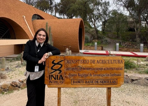María Teresa Pino es nombrada oficialmente como directora nacional de INIA Chile