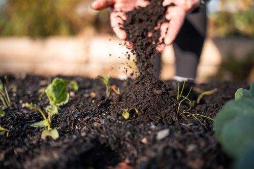 El suelo y la biota como sustrato para frutales de alto requerimiento