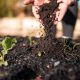 El suelo y la biota como sustrato para frutales de alto requerimiento