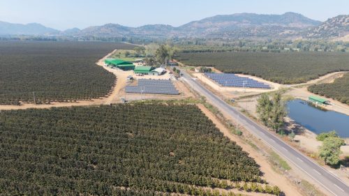 En panel de gestión, grandes productores revelan sus estrategias