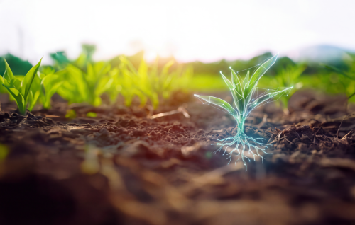 Manejo agronómico basado en biología integrada con datos