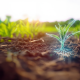 Manejo agronómico basado en biología integrada con datos