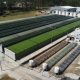 Phoenix Biosolutions y el Grupo Necton crean PNA para liderar el desarrollo de aplicaciones de microalgas en la agricultura