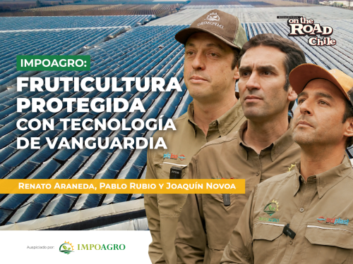 Impoagro: protección de cultivos y adelanto de las cosechas con los mejores materiales del mercado