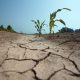 Lluvias acumuladas no ponen fin a la mega sequía